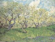 Vincent Van Gogh Orchard in Blossom (nn04) Spain oil painting reproduction